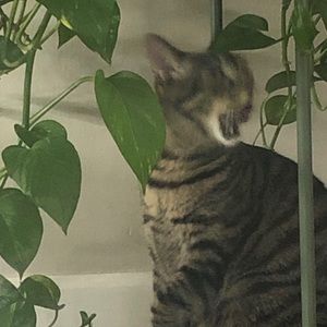 Meet your Posher, Keu